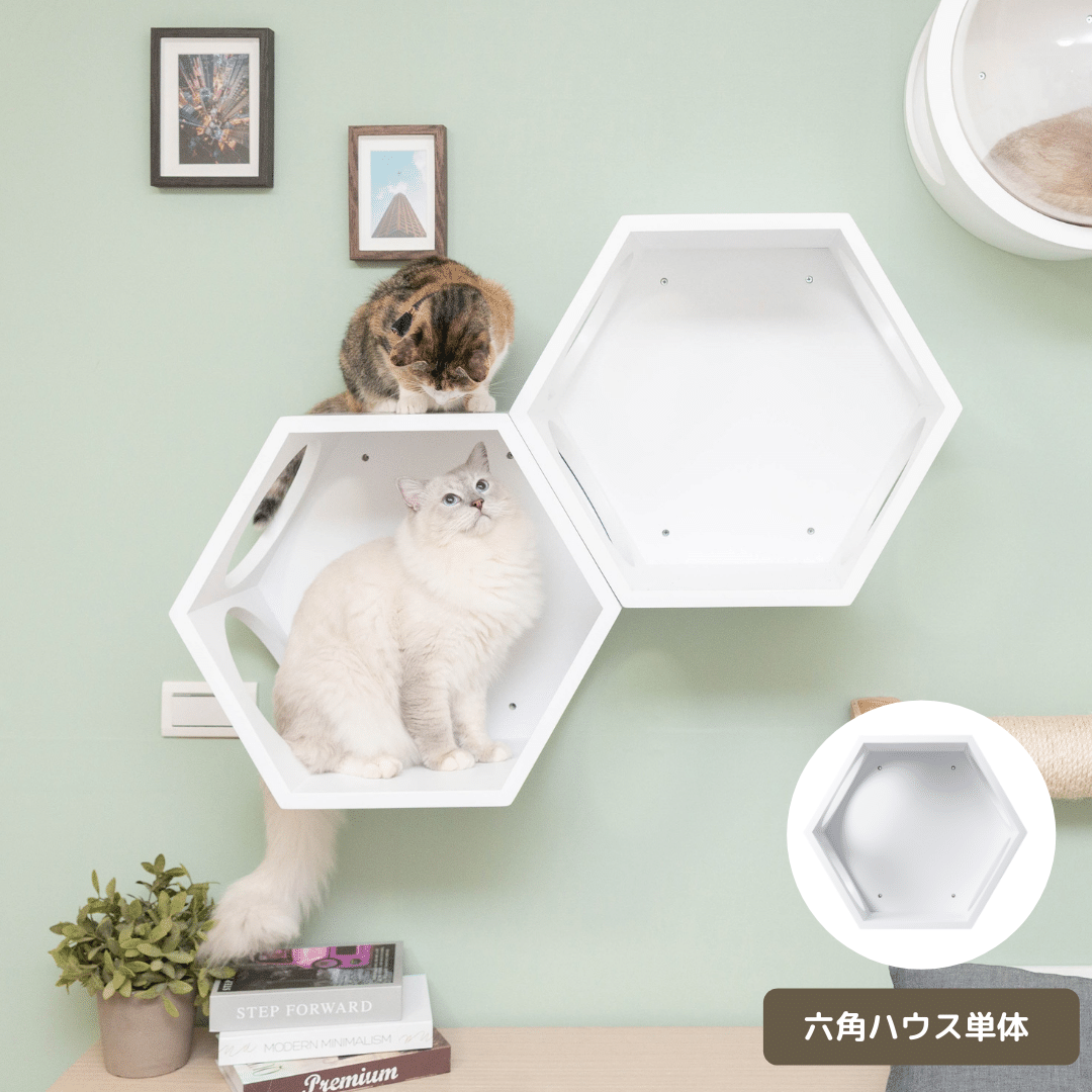 白の キャットステップ2セット10まい キャットステップ】MYZOO-六角ハウス/ホワイト