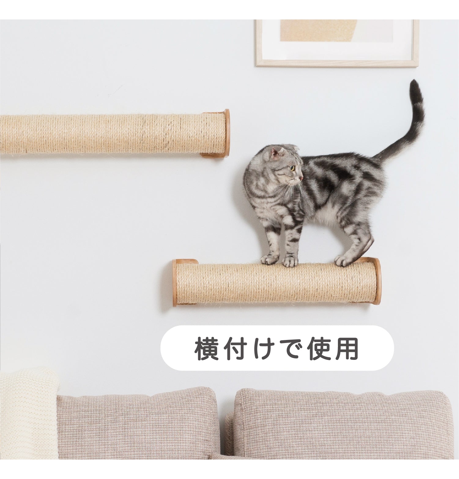 【床置き＆壁付け両用猫用爪とぎ】MYZOO-CYLINDER