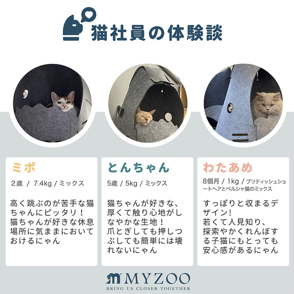 猫社員の体験談