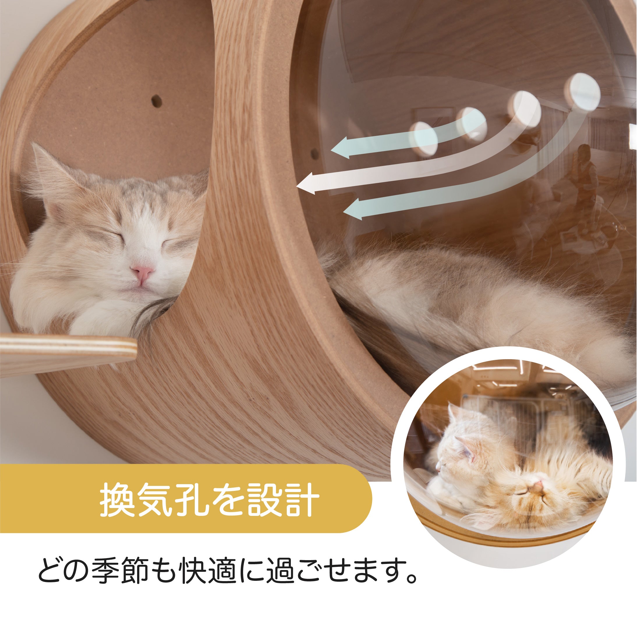 【床置き＆壁付け両用猫ベッド】MYZOO-宇宙船GAMMA/ウォールナット