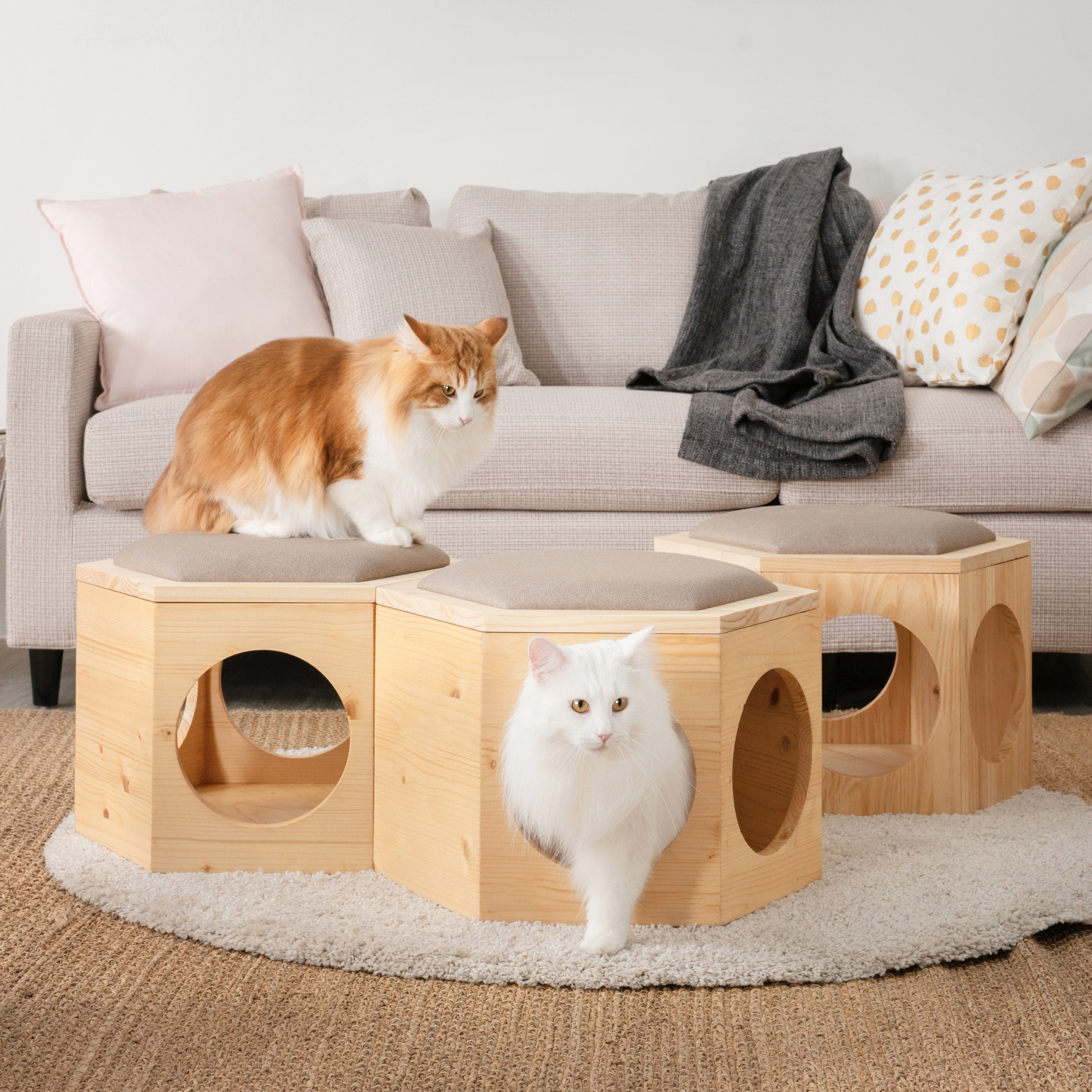 【椅子/猫ハウス/ローテーブル】MYZOO-六角ハウススツールセット