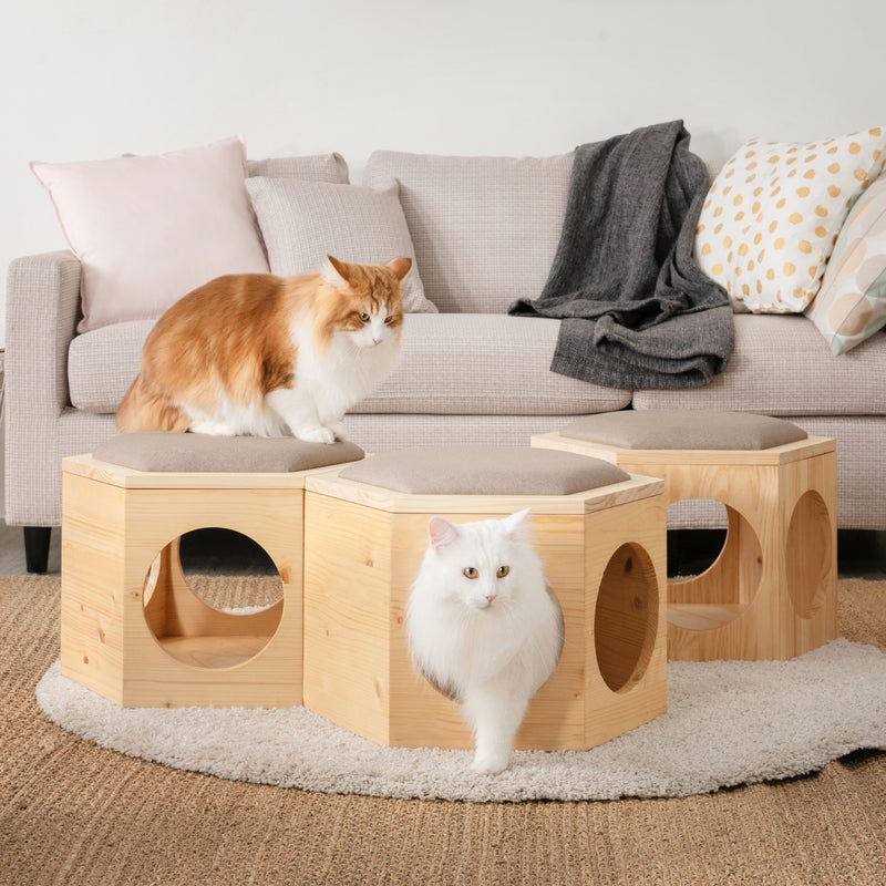 【椅子/猫ハウス/ローテーブル】MYZOO-六角ハウススツールセット