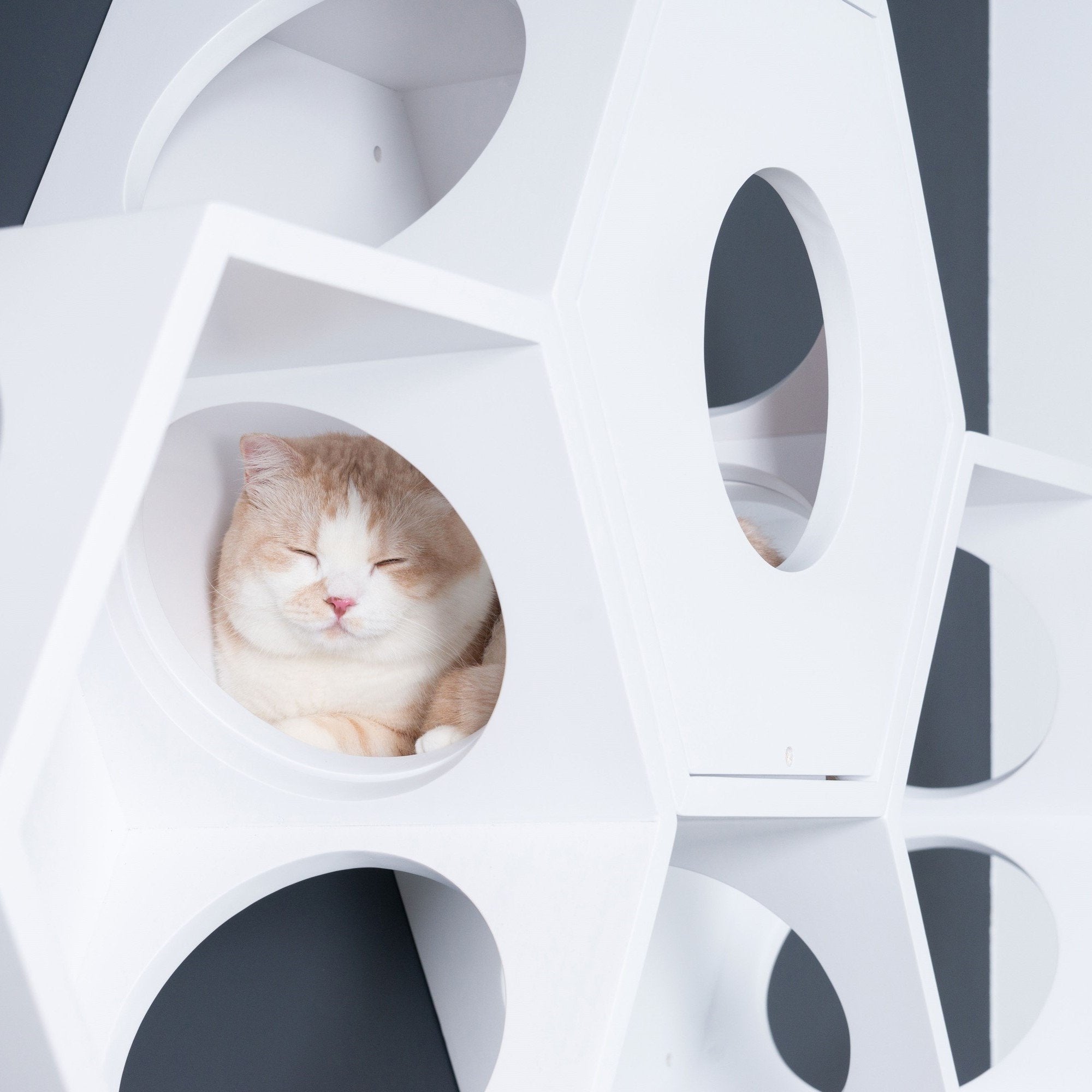 パイン無垢材で作られた壁掛けタイプのキャットタワー。ホワイトの六角形で四面に穴を開けているので、猫は好きな場所から出入りができます。複数繋げることにより、トンネルのようなキャッ