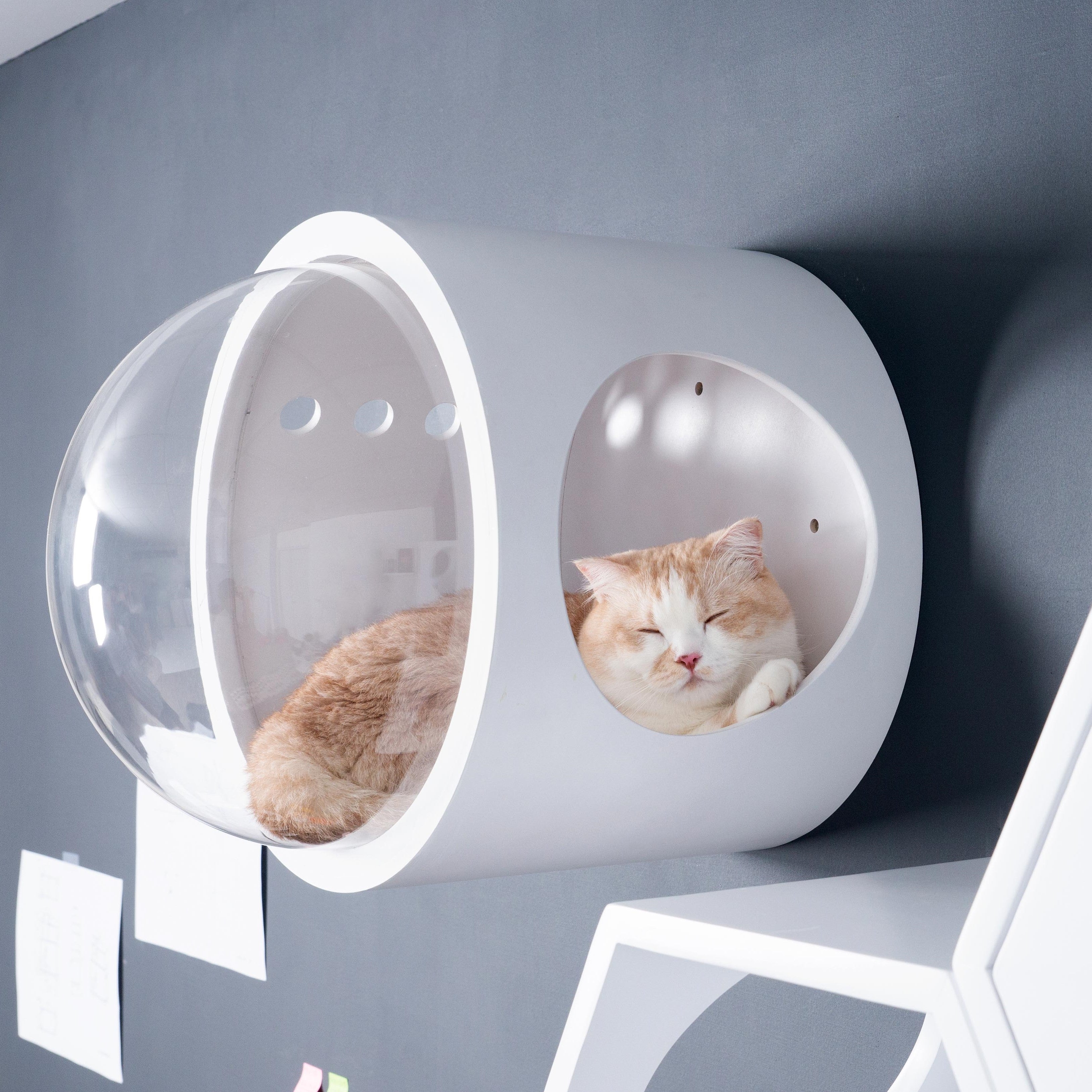 MYZOO宇宙船GAMMAホワイト色猫用ベッド/右開き。ドームの形で快適に眠れます。