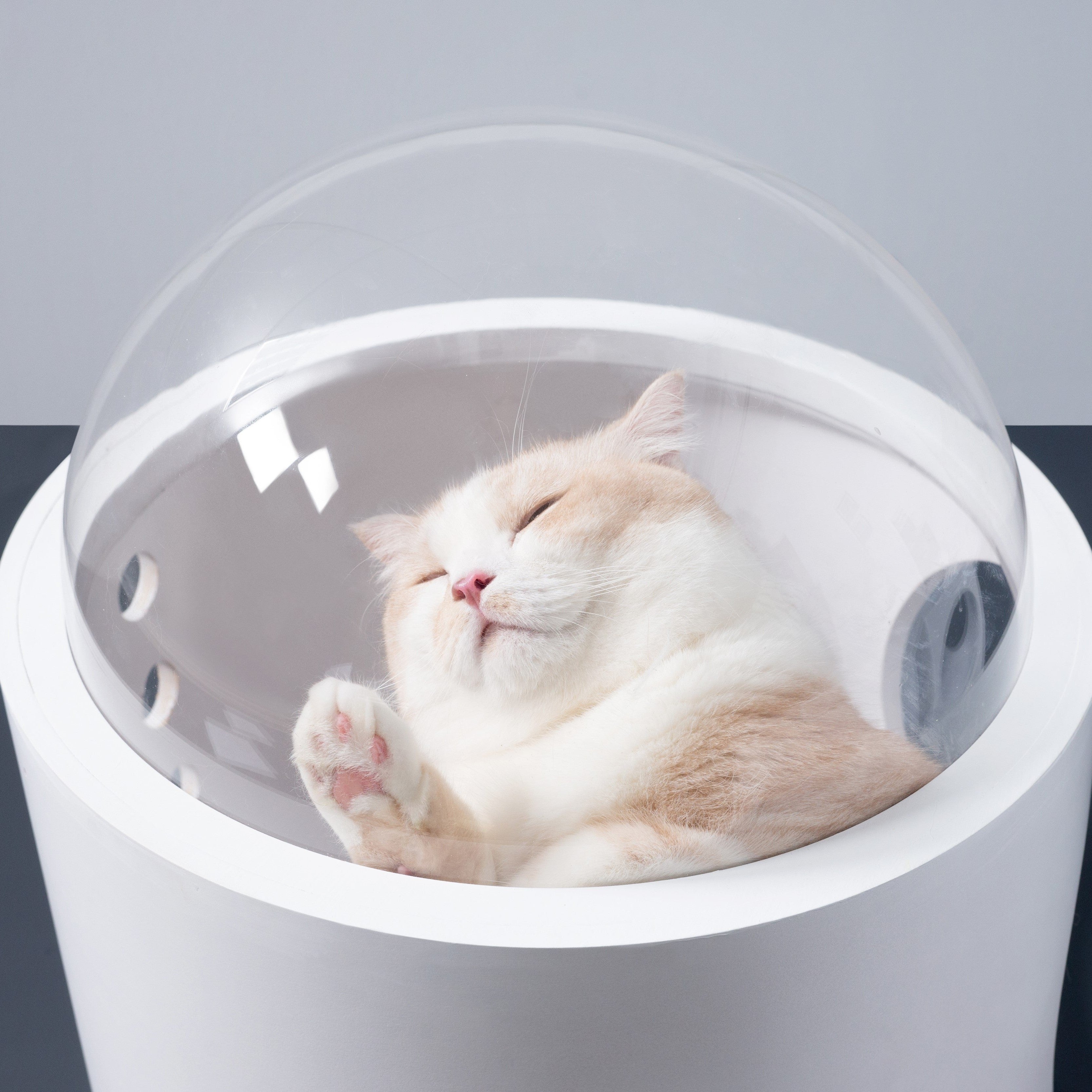 【床置き＆壁付け両用猫ベッド】MYZOO-宇宙船GAMMA/ホワイト