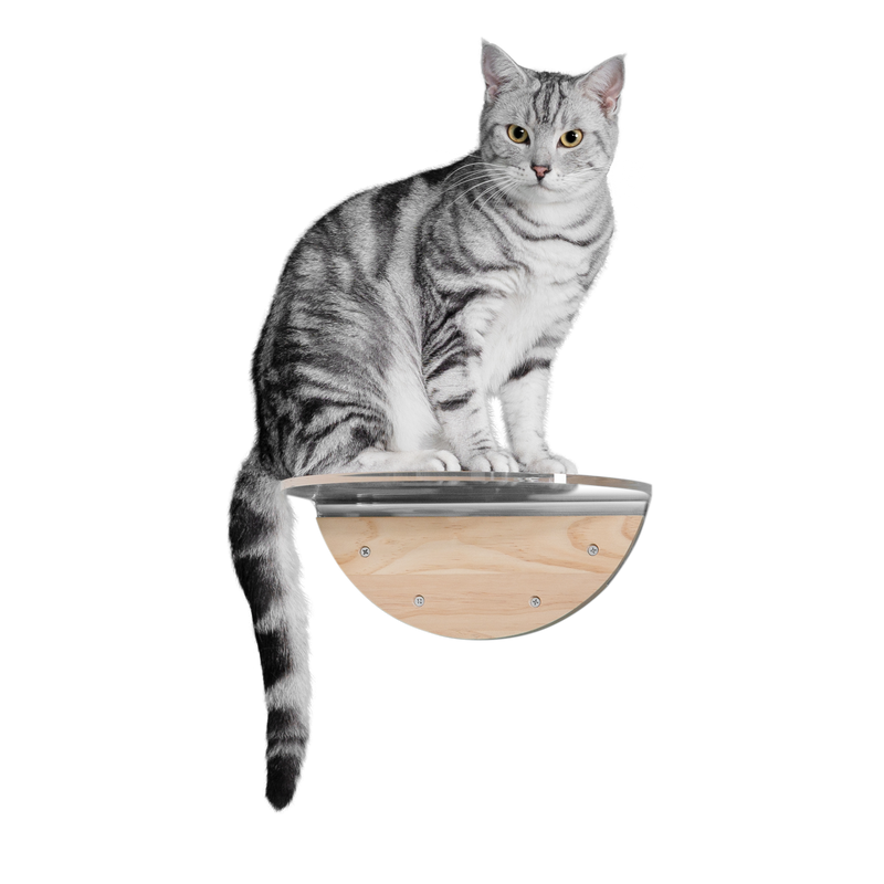 クリア(透明)キャットステップ】MYZOO-ROUND LACK CLEAR – MYZOO-JP