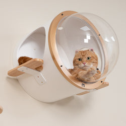 MYZOO　潜水艇風猫ベッド、ドーム状で両側にステップ付、ホワイト色