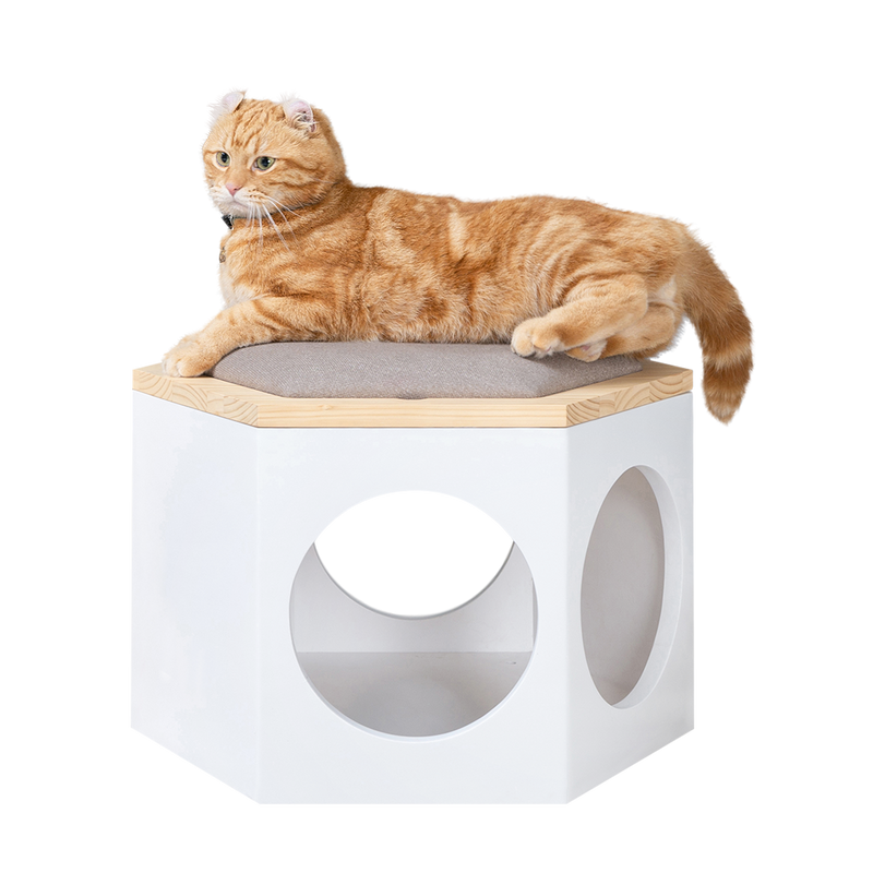 【椅子/猫ハウス/ローテーブル】MYZOO-六角ハウススツール/ホワイト