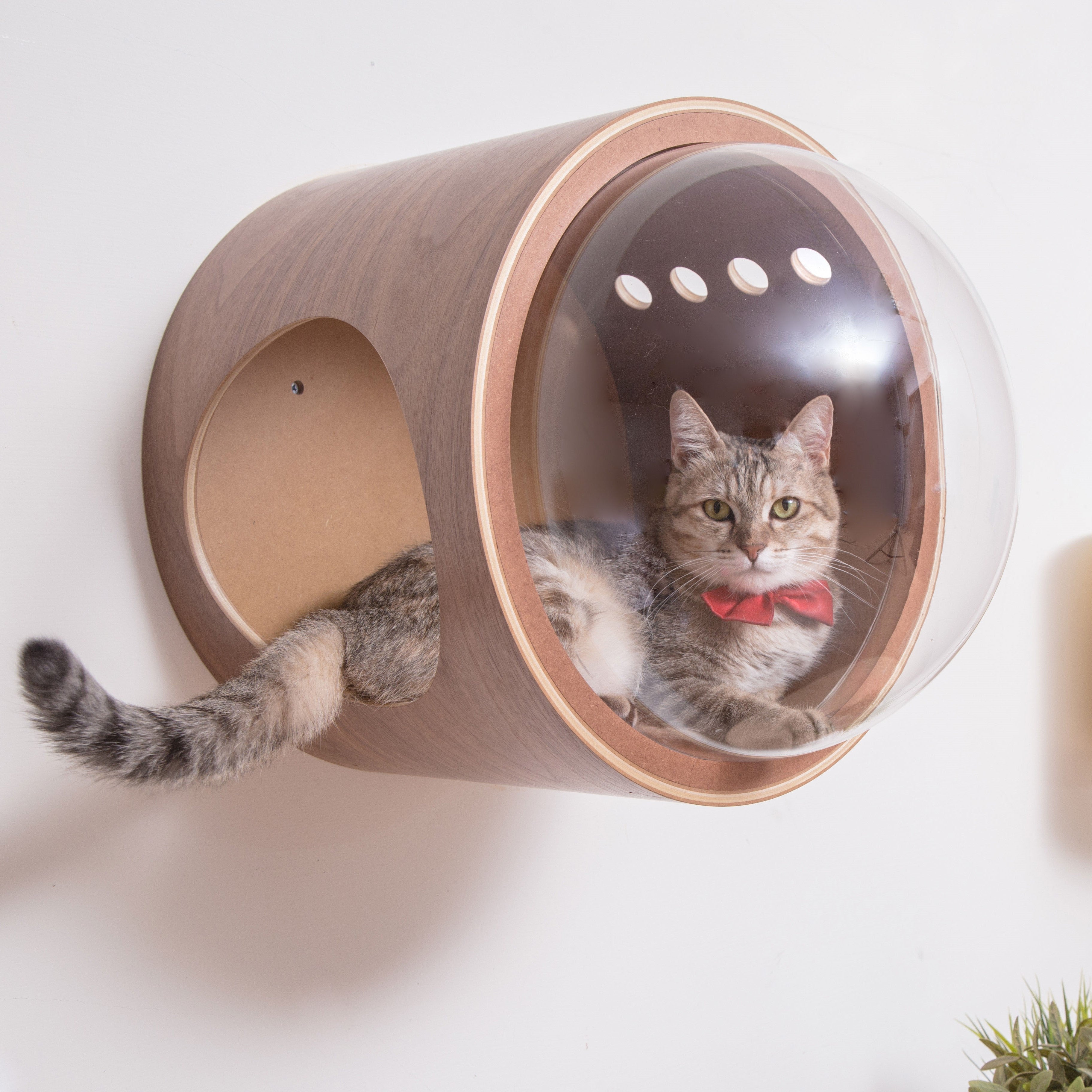 MYZOO 宇宙船 猫ハウス 猫ベッド ペット用ベッド ドーム状 壁付け対応 床