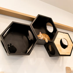 パイン無垢材で作られた壁掛けタイプのキャットタワー。黒色の六角形で四面に穴を開けているので、猫は好きな場所から出入りができます。複数繋げることにより、トンネルのようなキャットウォークを楽しめることもできます。