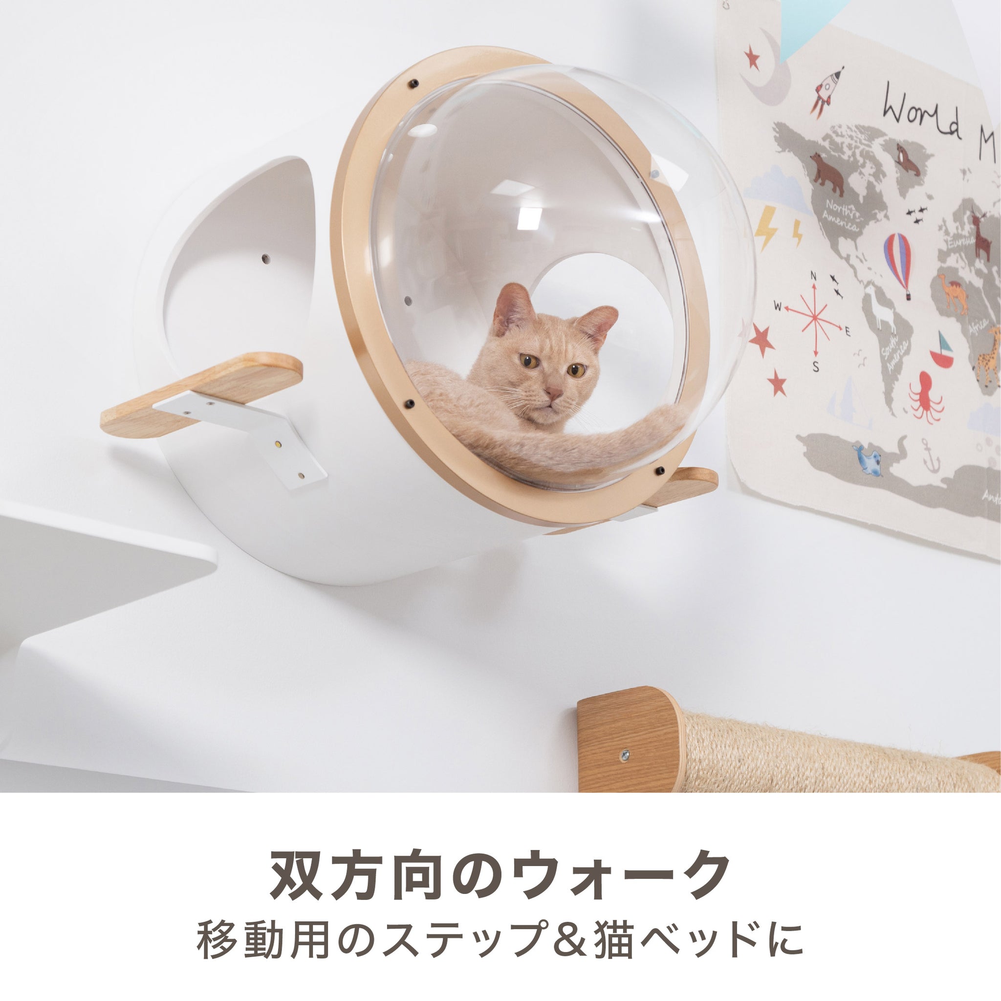 【壁付けタイプ猫用ベッド】MYZOO-潜水艇Ocean rover/ホワイト&ゴールド