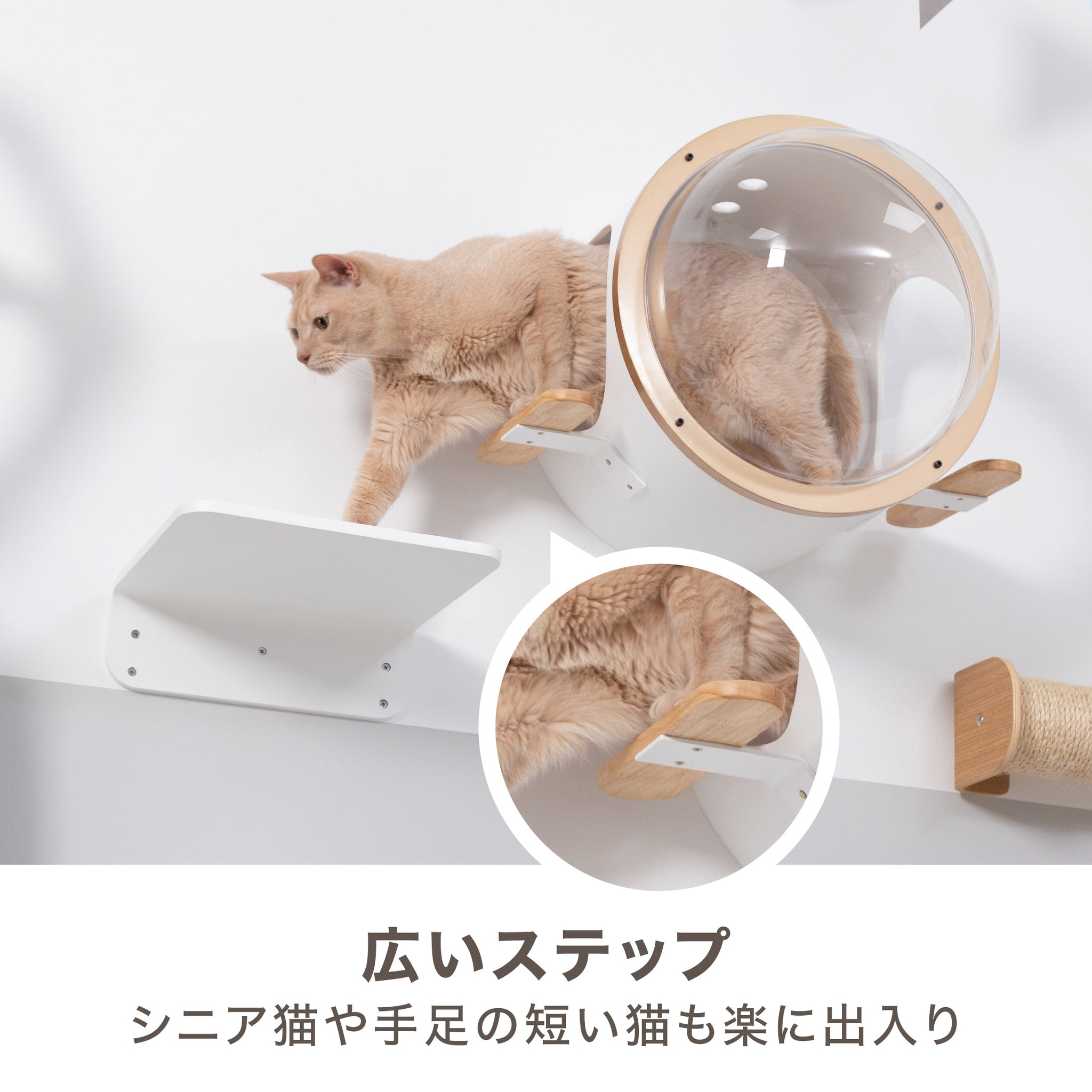 広いステップ