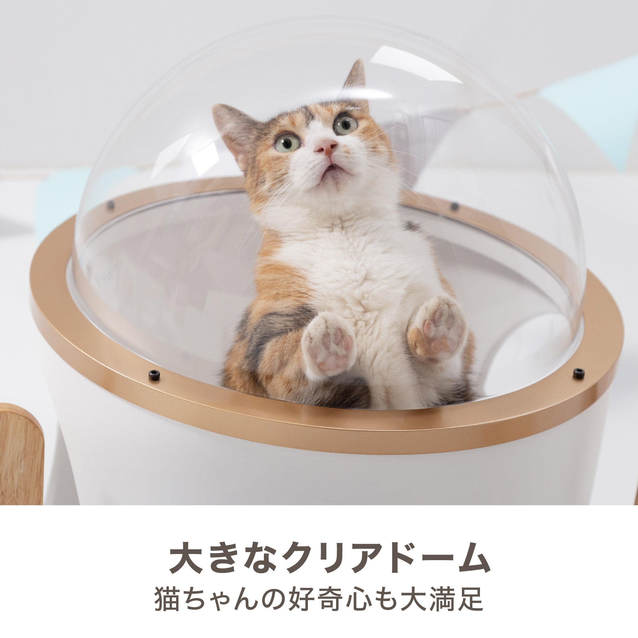【壁付けタイプ猫用ベッド】MYZOO-潜水艇Ocean rover/ホワイト&ゴールド