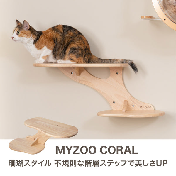 【キャットステップ】MYZOO-CORAL
