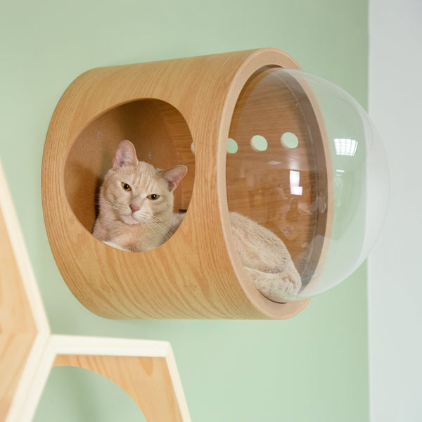 MYZOO 宇宙船GAMMA 猫用ベッドは壁付けタイプの猫ハウスです。オークの天然木化粧合板を使用するため、唯一無二の紋様が楽しめます。