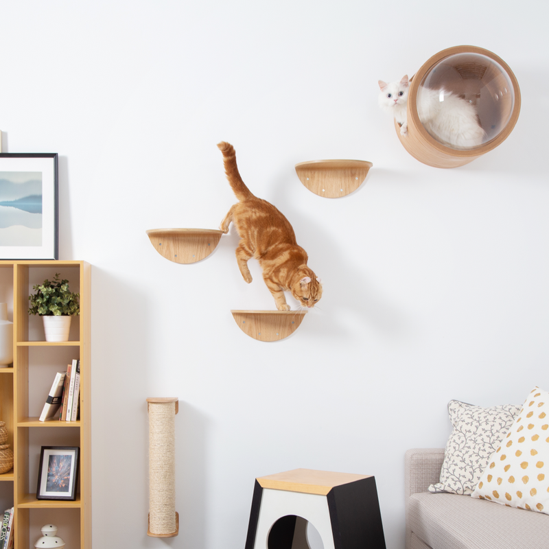 MYZOO ROUND LACK OAK　キャットステップ/キャットウォーク　壁付けタイプで据え置きタイプのキャットタワーより省スペース。室内飼育猫の運動不足解消に。シンプルでかわいいデザインでお部屋のインテリアに損ないません。