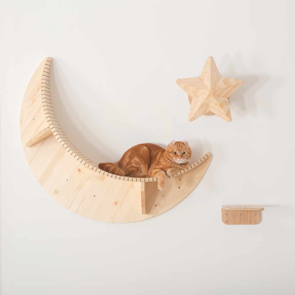 キャットステップ】MYZOO-LUNA – MYZOO-JP