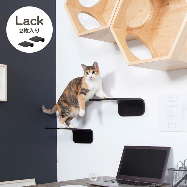 LACK　キャットステップ2枚セット。壁掛けタイプキャットタワー。長方形で黒色。コンパクトサイズでありながらしっかりネコの体重を支えてくれる。