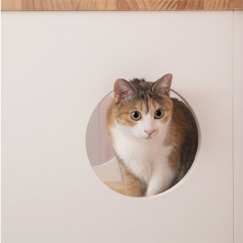 【猫トイレ収納ボックス（トイレ付き）】MYZOO-OMEGA
