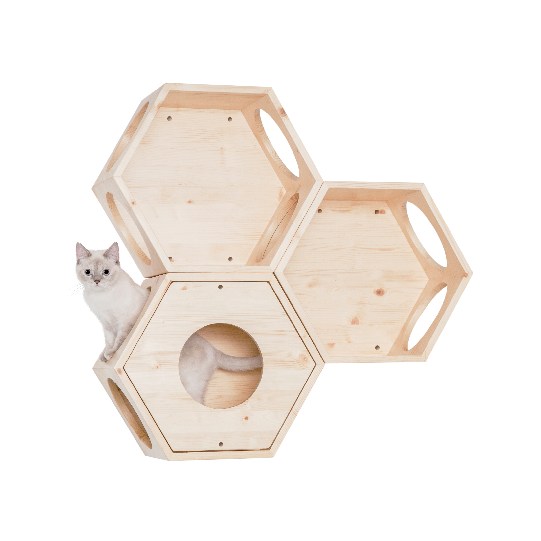 パイン無垢材で作られた壁掛けタイプのキャットタワー。六角形で四面に穴を開けているので、猫は好きな場所から出入りができます。複数繋げることにより、トンネルのようなキャットウォークを楽しめることもできます。