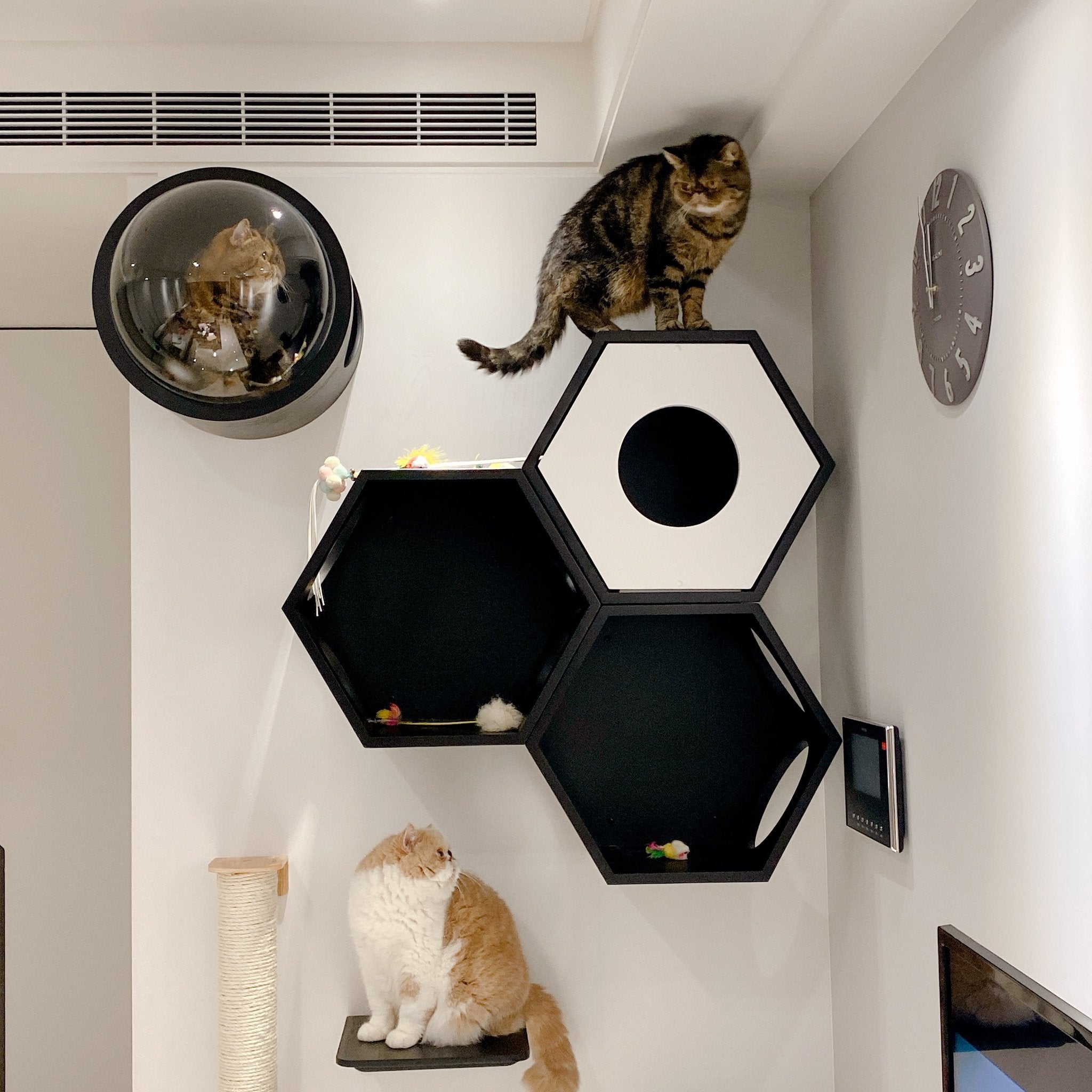 パイン無垢材で作られた壁掛けタイプのキャットタワー。黒色の六角形で四面に穴を開けているので、猫は好きな場所から出入りができます。複数繋げることにより、トンネルのようなキャッ